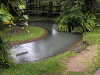 s_A_PICT0062_thumb.png